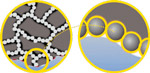 Молекулы в резиновой смеси шины Dunlop Winter Maxx WM02